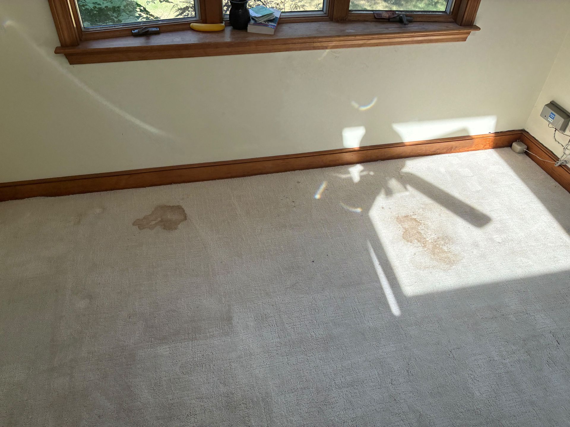 Nova Spark Cleaning gallery photo