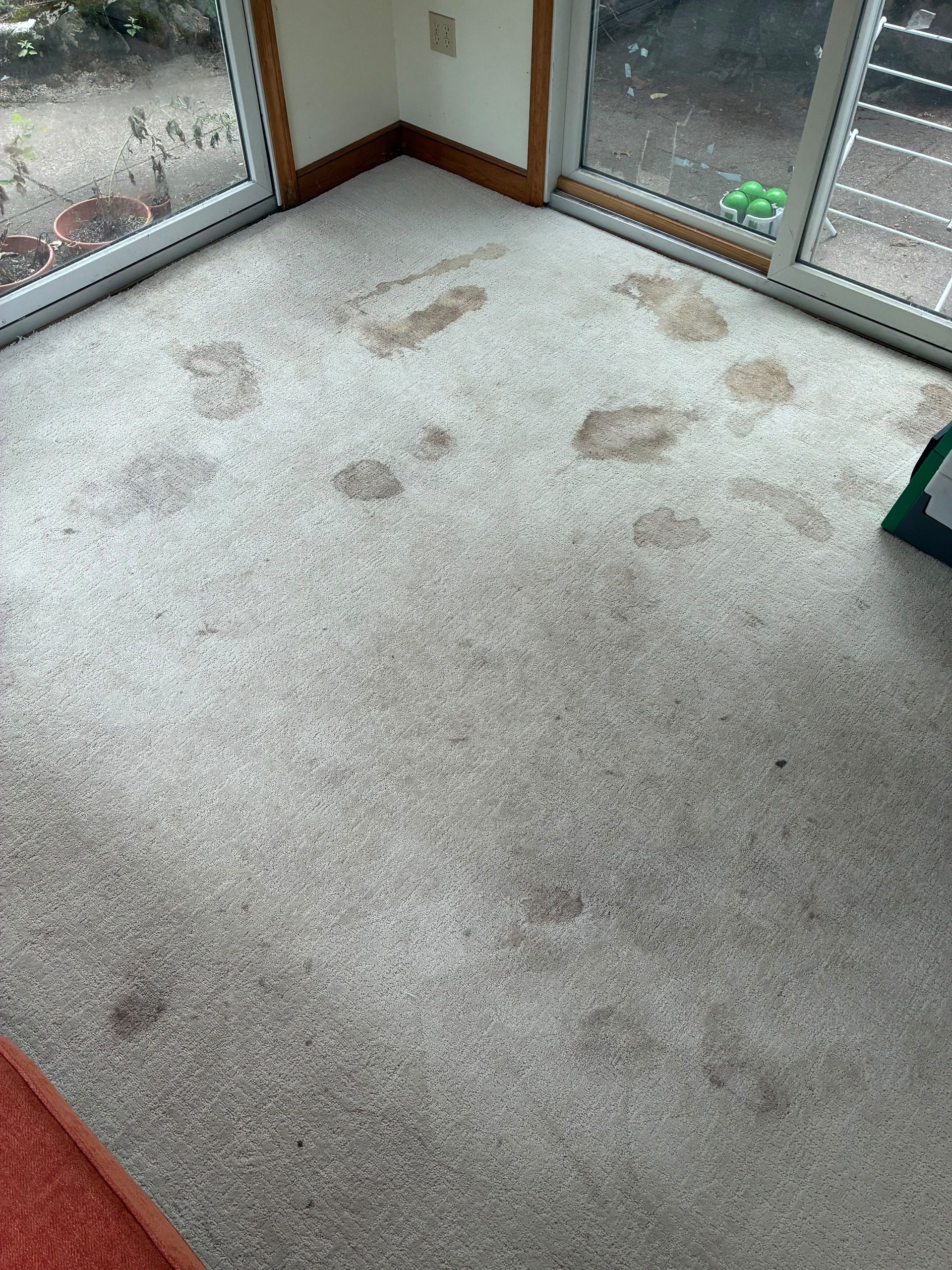 Nova Spark Cleaning gallery photo