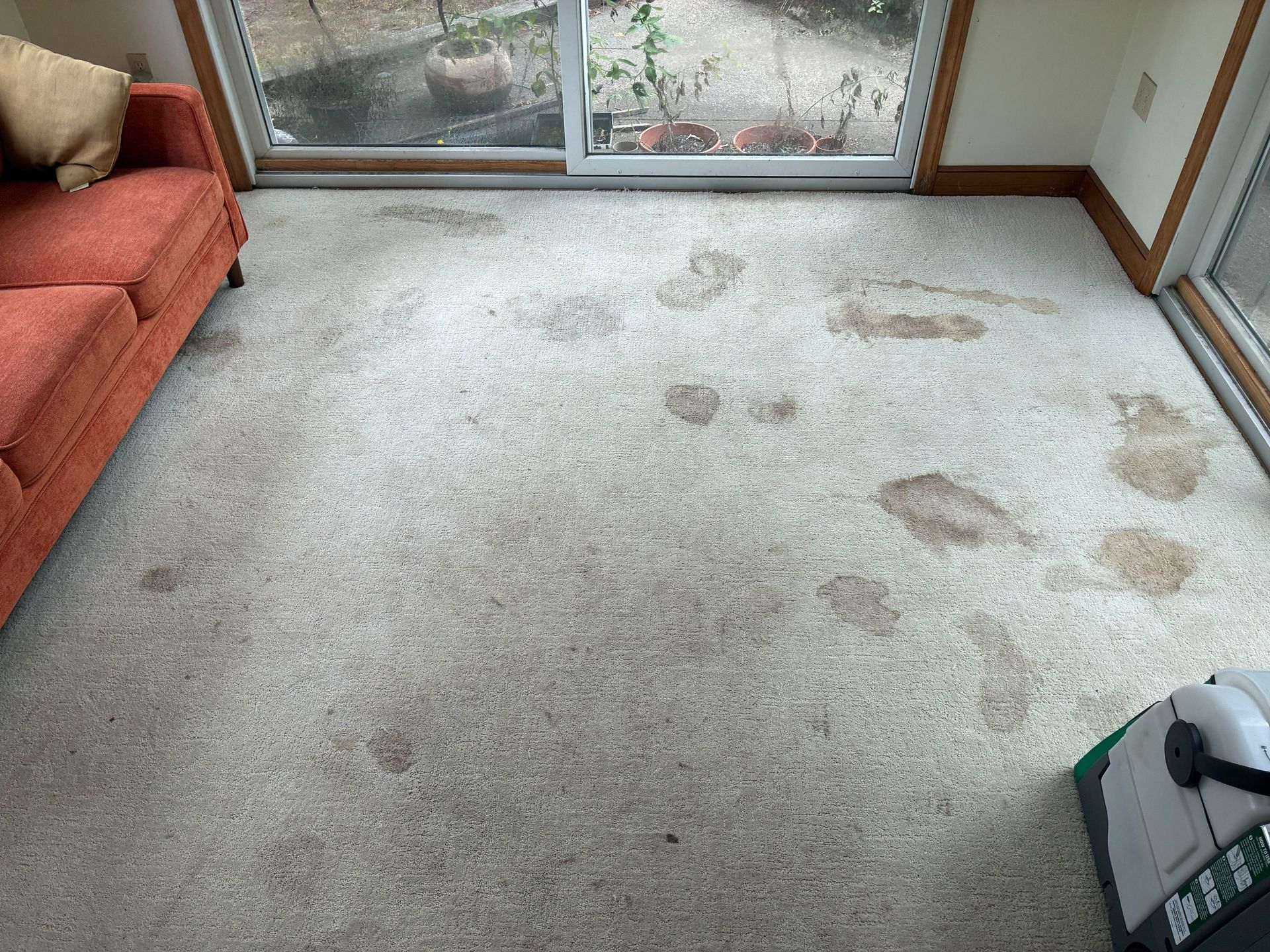 Nova Spark Cleaning gallery photo